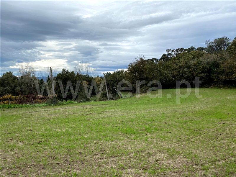 Terreno  Fafe, Revelhe - 1153813 - 12