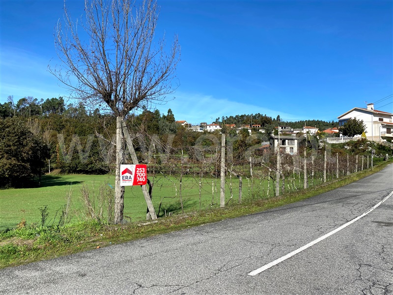 Terreno / Fafe, Revelhe