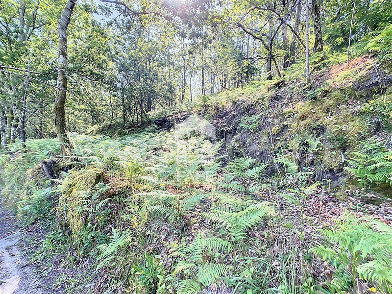 Terreno  Fafe, Revelhe - 1414090 - 1