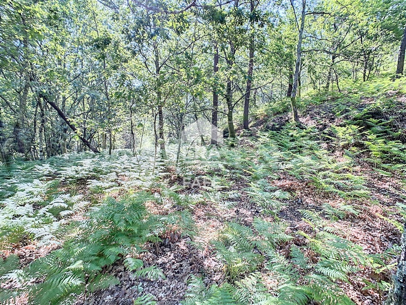 Terreno  Fafe, Revelhe - 1414090 - 3