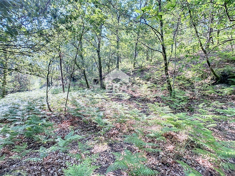 Terreno  Fafe, Revelhe - 1414090 - 4