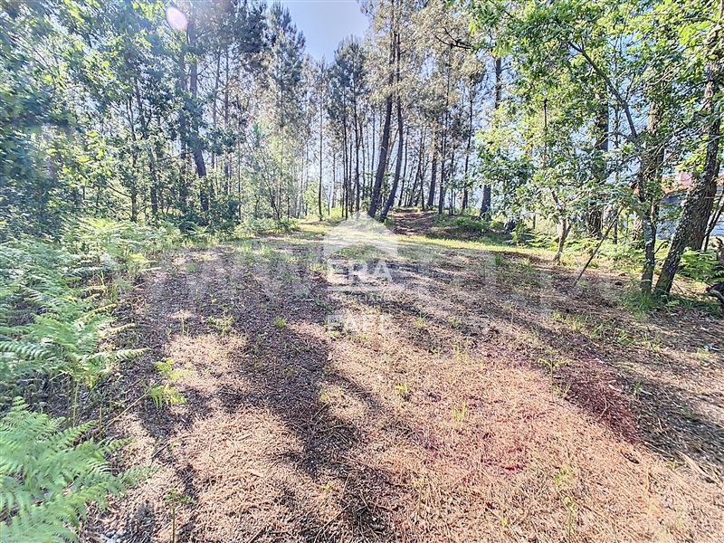 Terreno  Fafe, Revelhe - 1414090 - 9