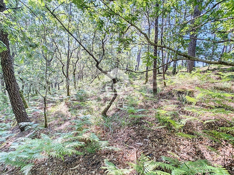 Terreno  Fafe, Revelhe - 1414090 - 10