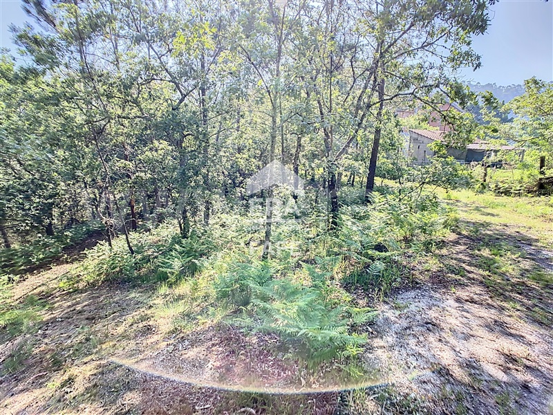 Terreno  Fafe, Revelhe - 1414090 - 11