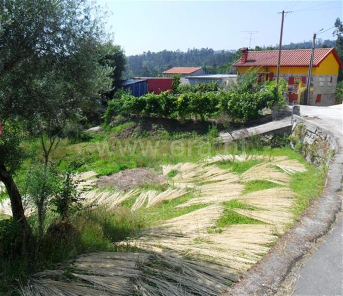 Terreno / Fafe, Revelhe