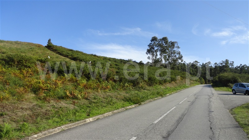 Terreno / Fafe, Revelhe
