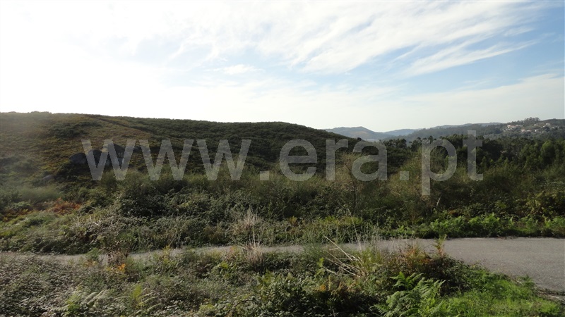Terreno  Fafe, Revelhe - 768867 - 3
