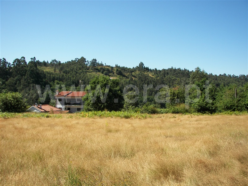 Terreno / Fafe, Revelhe