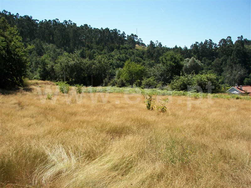 Terreno  Fafe, Revelhe - 935331 - 1