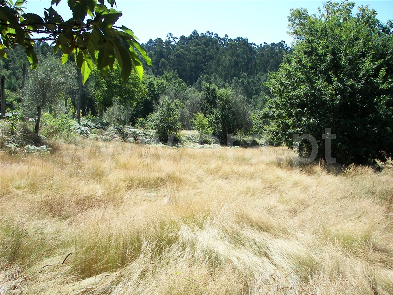 Terreno  Fafe, Revelhe - 935331 - 4