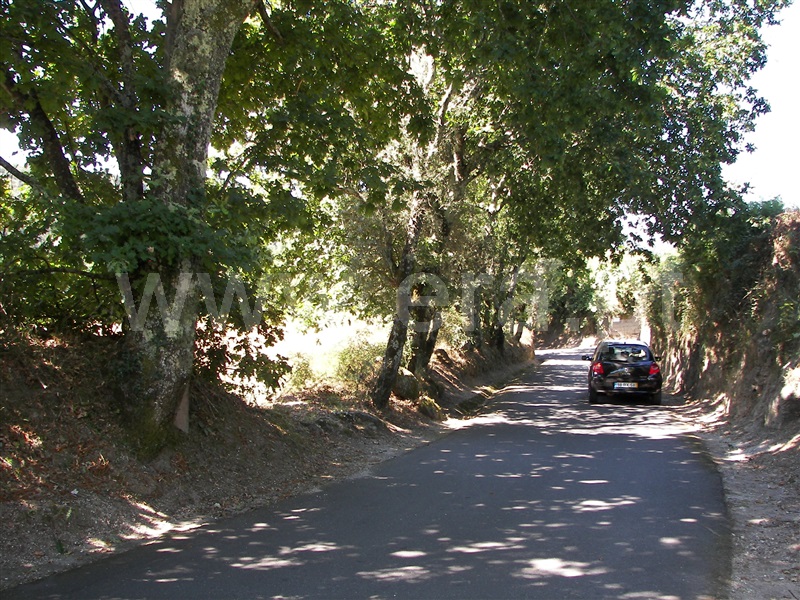 Terreno  Fafe, Revelhe - 935331 - 6