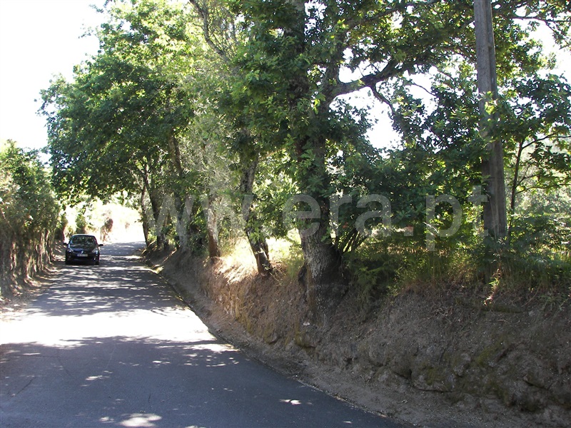 Terreno  Fafe, Revelhe - 935331 - 7