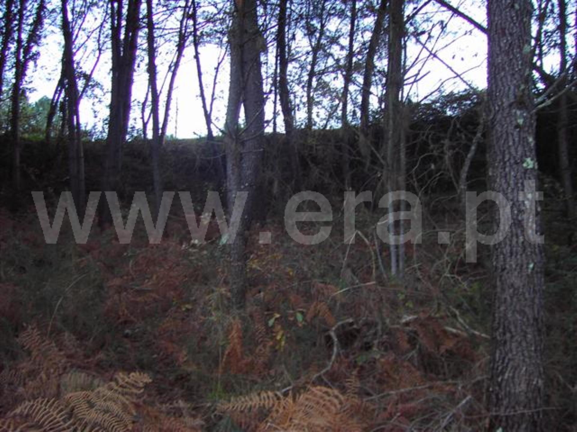 Land for sale in Fafe, Portugal — €65,000