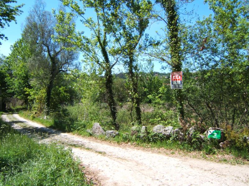 Terreno / Fafe, Ribeiros