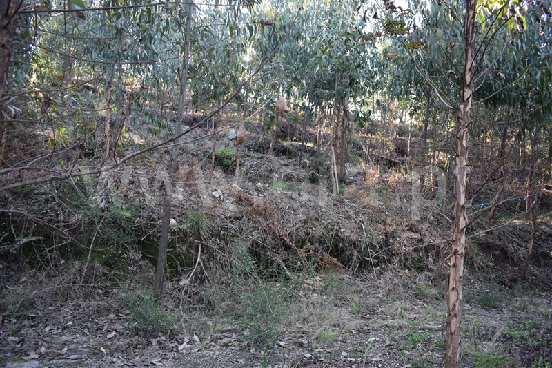 Terreno  Fafe, Ribeiros - 1066647 - 5