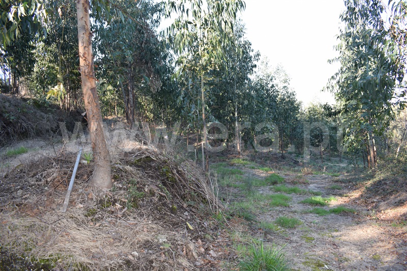Terreno  Fafe, Ribeiros - 1066647 - 10