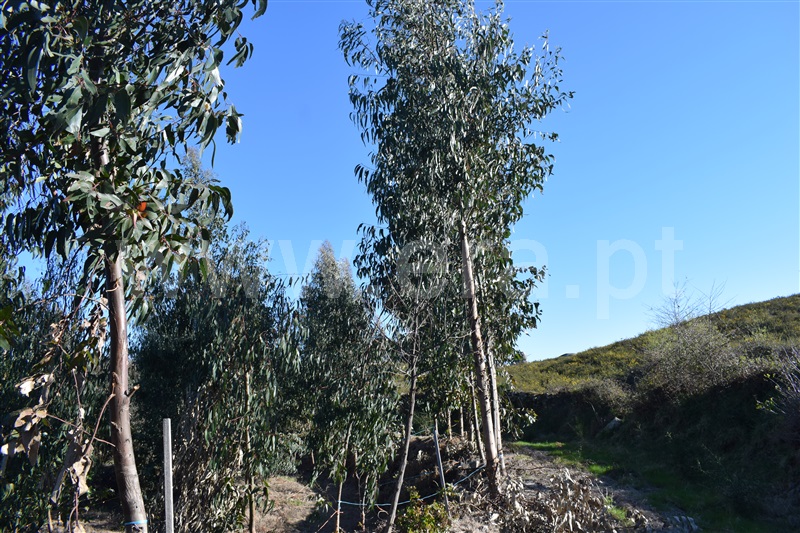 Terreno  Fafe, Ribeiros - 1066647 - 11