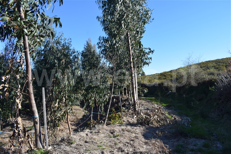 Terreno  Fafe, Ribeiros - 1066647 - 12