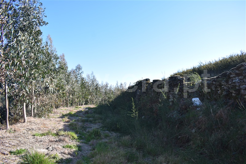Terreno  Fafe, Ribeiros - 1066647 - 15