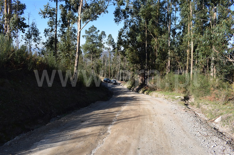 Terreno  Fafe, Ribeiros - 1066647 - 16