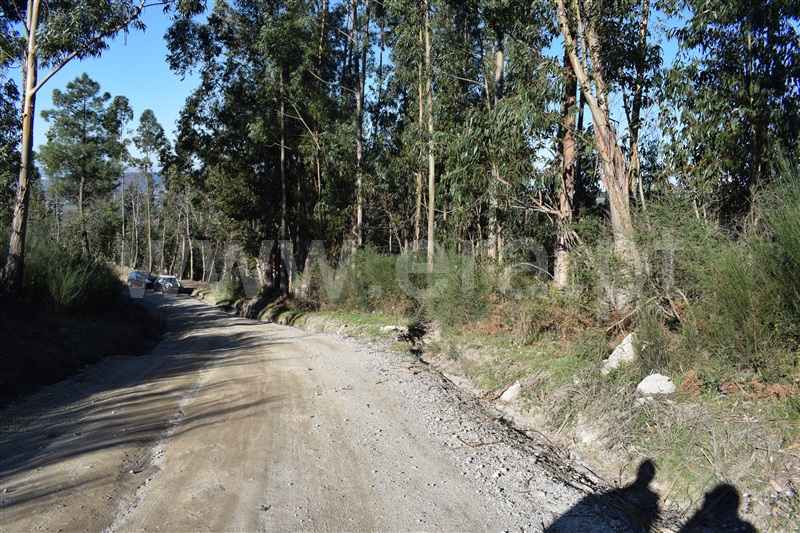Terreno  Fafe, Ribeiros - 1066647 - 17