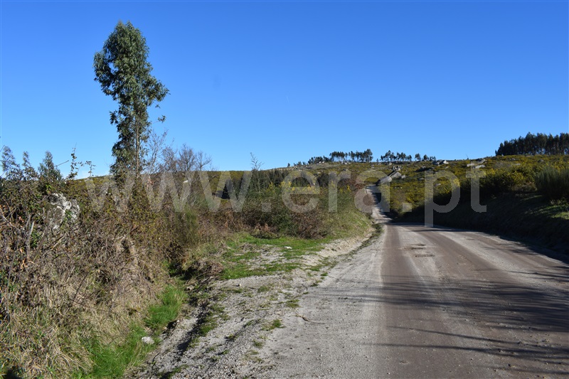 Terreno  Fafe, Ribeiros - 1066647 - 19