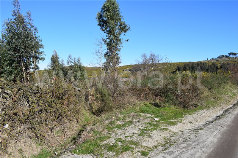 Terreno  Fafe, Ribeiros - 1066647 - 20