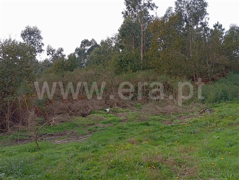 Terreno  Fafe, Ribeiros - 1460118 - 2