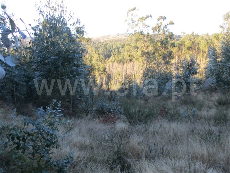 Terreno  Fafe, Ribeiros - 977432 - 13