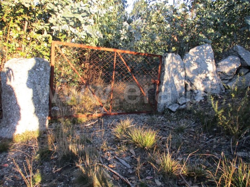 Terreno  Fafe, Ribeiros - 977432 - 15