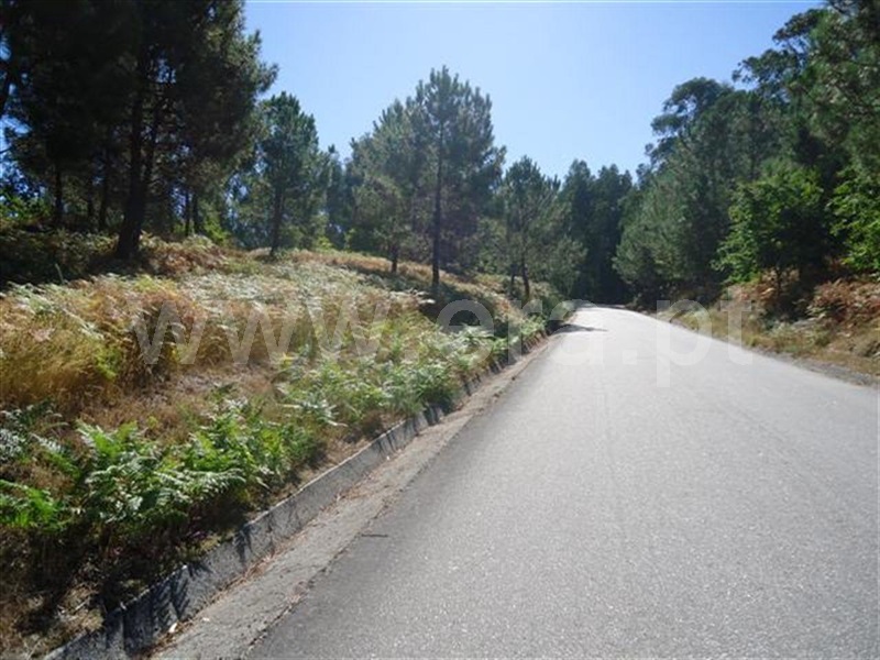 Terreno / Fafe, São Gens