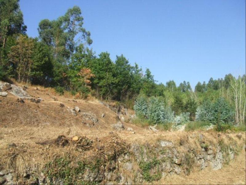 Terreno / Fafe, São Gens