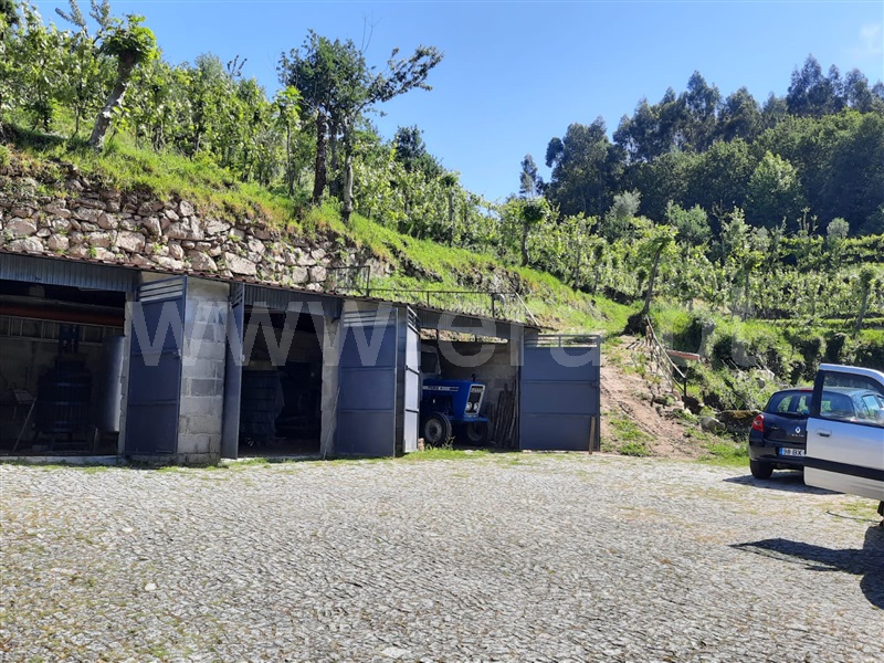 Terreno  Fafe, São Gens - 1409575 - 2