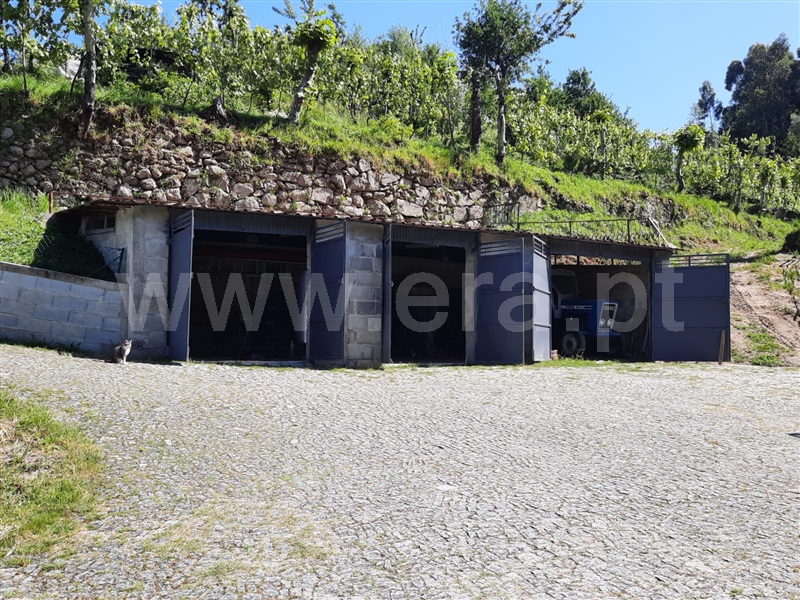 Terreno  Fafe, São Gens - 1409575 - 3