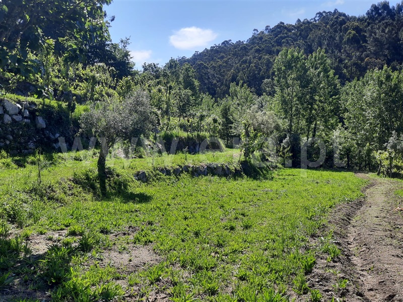 Terreno  Fafe, São Gens - 1409575 - 9