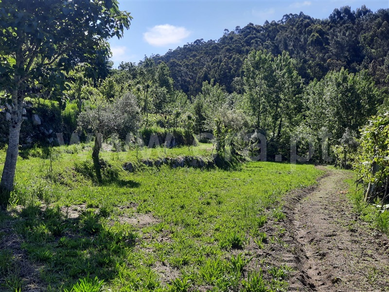 Terreno  Fafe, São Gens - 1409575 - 10