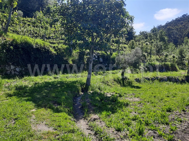 Terreno  Fafe, São Gens - 1409575 - 11