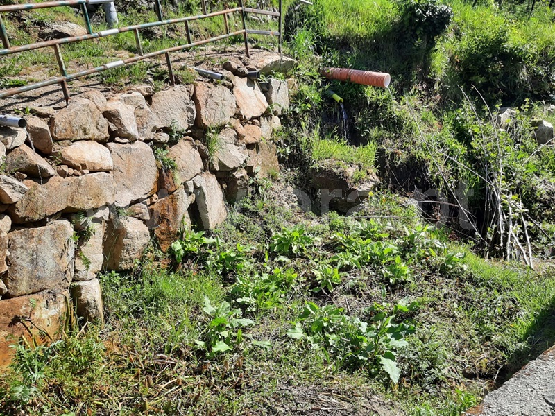 Terreno  Fafe, São Gens - 1409575 - 12