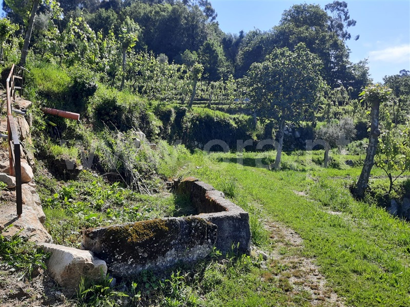 Terreno  Fafe, São Gens - 1409575 - 13