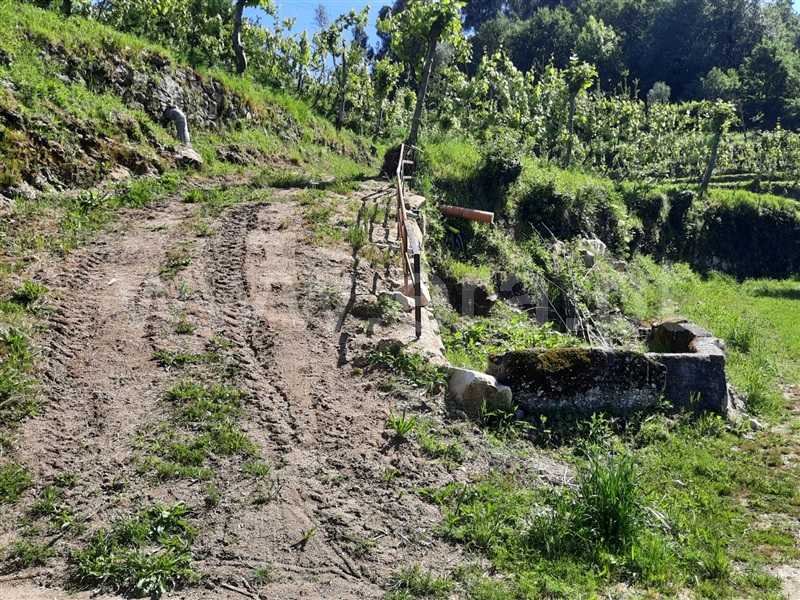 Terreno  Fafe, São Gens - 1409575 - 14