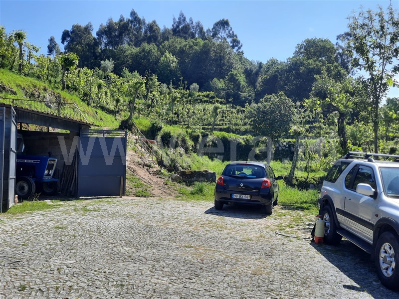 Terreno  Fafe, São Gens - 1409575 - 15