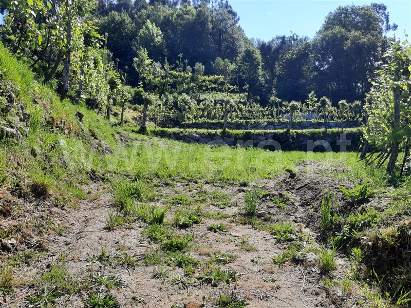 Terreno  Fafe, São Gens - 1409575 - 17