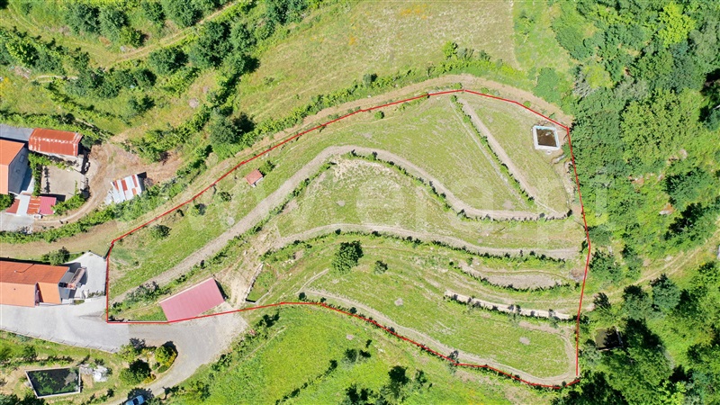 Terreno / Fafe, São Gens