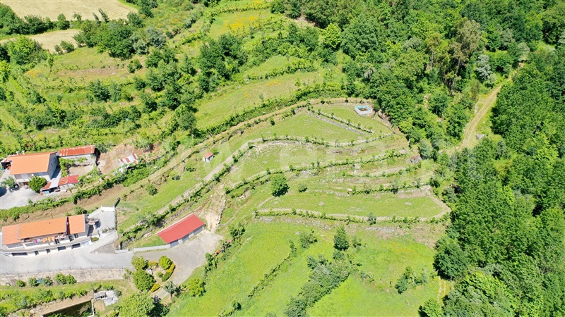 Terreno  Fafe, São Gens - 1409575 - 52