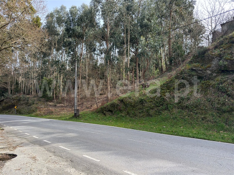 Terreno / Fafe, São Gens