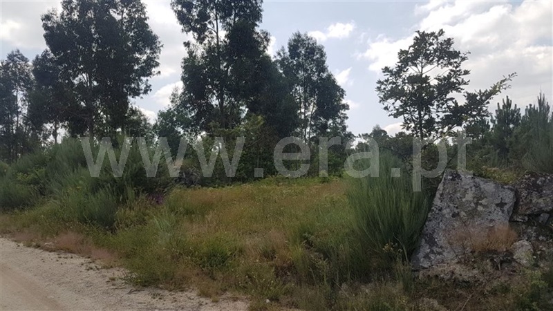 Terreno  Fafe, São Gens - 963839 - 7