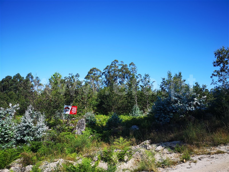 Terreno / Fafe, São Gens