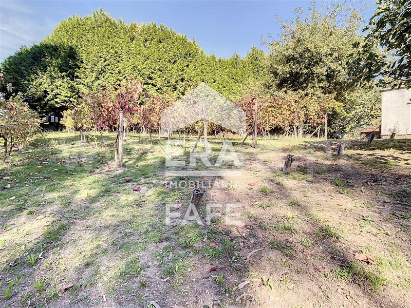 Terreno / Fafe, Silvares (São Martinho)
