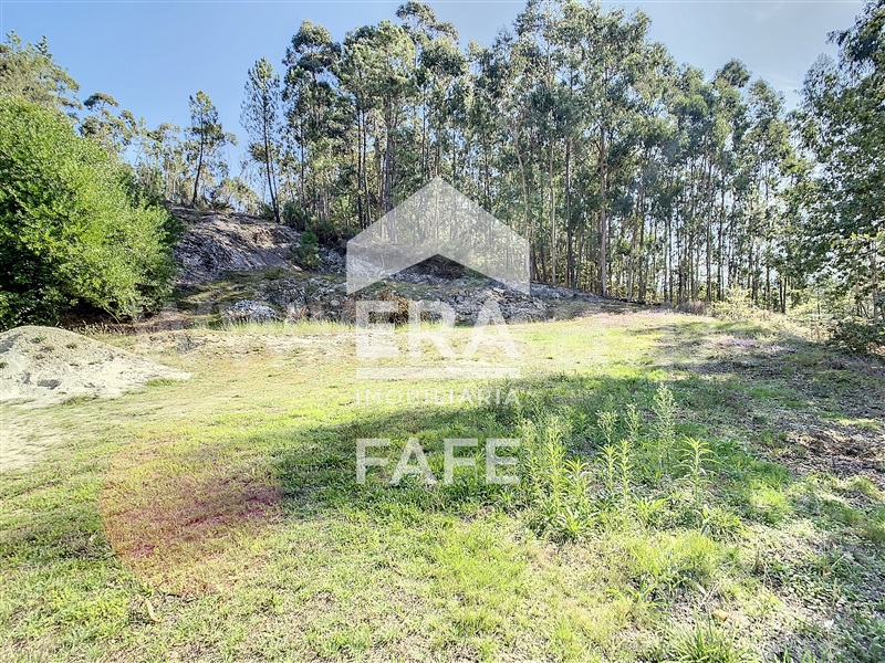 Terreno  Fafe, Silvares (São Martinho) - 1359088 - 5