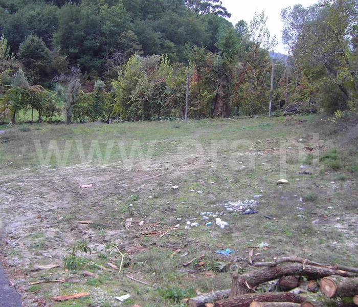 Terreno / Fafe, Travassós